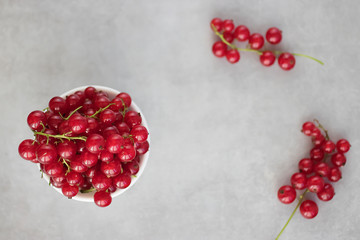 Fresh red currants in a white bowl on a gray background. Top view.