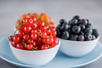 Fresh berries in white bowls on a blue plate and gray background. Blueberries, gooseberries and red currants. Top view.