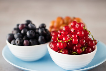 Fresh berries in white bowls on a blue plate and gray background. Blueberries, gooseberries and red currants. Top view.