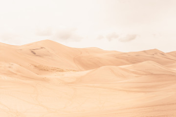 Desert in Sand Dunes 