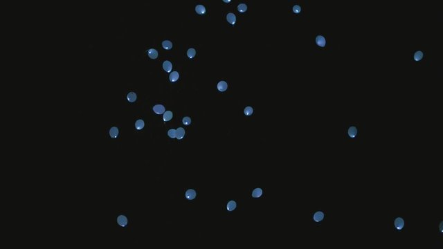 LED Baloons flying in the sky