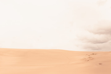 Desert in Sand Dunes 