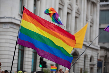 Gay pride rainbow flags being waved in the air at a pride event