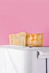Toasted toast bread in white toaster on pink background