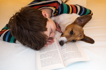 Happy boy in pajamas with his dog of breed Jack Russell are lying in bed under yellow blanket and...