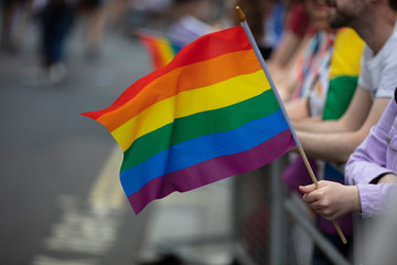 People wave LGBTQ gay pride rainbow flags at a pride event