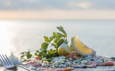 Fillets of raw salmon, celery, white onion and lemon on a stone table - The sea background