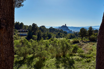 Fields of culture and sight of the town and castle of Biar in the Community of Valencia