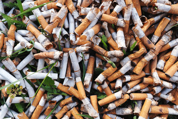 View of the pattern of scattered cigarette butts in the green grass on the meadow in the park of a big city. The problem of humanity. Smoking cigarettes, bad habit of man. Nicotine addiction. Garbage