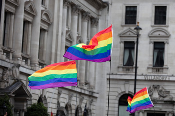 Gay pride rainbow flags being waved in the air at a pride event