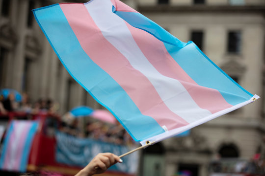 Transgender Flag Images – Browse 89,328 Stock Photos, Vectors, and Video