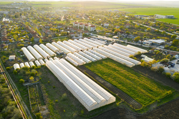 Aerial view of greenhouses lined up in a row, covered with a transparent film of growing vegetables and fruits. The texture of the roofs of greenhouses field background. Farming, bio products. Drone - Powered by Adobe