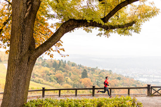 Rotenberg, Stuttgart, Baden-W&cedil;rttemberg, Germany: A male runner running below a fall-colored tree.