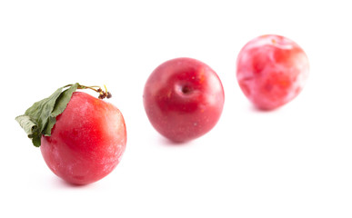 Ripe Plums on a White Background