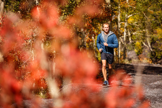 Telluride, Colorado, USA: A male trailrunner running on trails around Telluride on a cool but sunny autumn day.