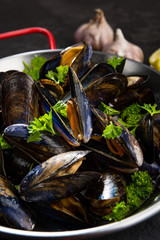 Cooked Mussels with GArlic and Fresh Parsley in Saucepan