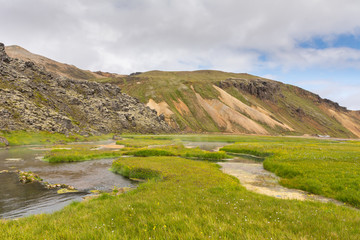 Fototapeta na wymiar Landmannalaugar, Iceland: view on the area where the Laugavegur hike starts, showing hotsprigs, grass and volcanic landscape