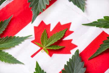 Detail of canadian flag with cannabis leaves - 277751399