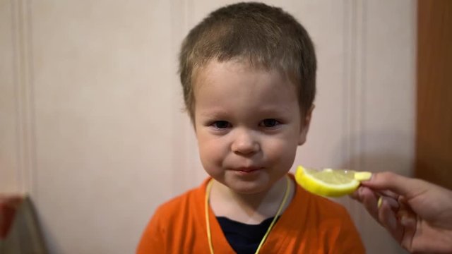 Little baby boy biting a lemon wedge,which holds a woman's hand. The child frowns, laughs and tries again to bite a lemon slice, close-up, portrait photography