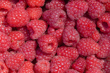 Belgian Organic Raspberries