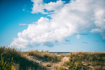 Obraz premium Beautiful seascape, spikelets on the background of a sandy beach sky with clouds and cold sea, Baltic Sea