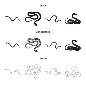 Isolated object of mammal and danger logo. Collection of mammal and medicine stock symbol for web.