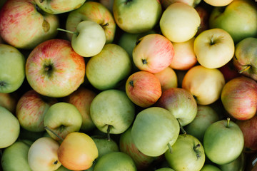 Green, red, yellow Apple raw fruit, healthy organic fresh food, fruit background