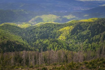 Beautiful spring mountain landscape. Nicely lit by the sun green forests on the hills.