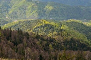 Beautiful spring mountain landscape. Nicely lit by the sun green forests on the hills.
