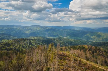 Amazing spring mountain landscape. Fairytale green hills in the countryside.