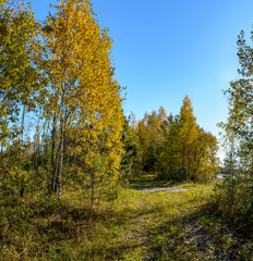 Beautiful autumn landscape on the site of a former sand quarry.