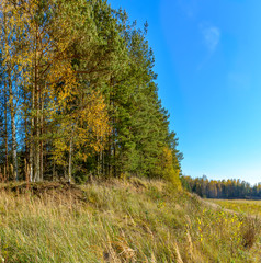 Beautiful autumn landscape on the site of a former sand quarry.