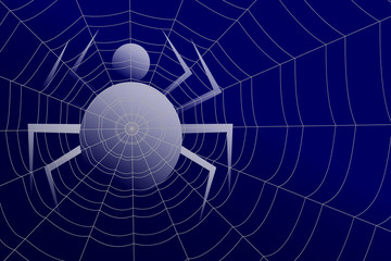 spider silhouette under the concentric cobweb on blue background