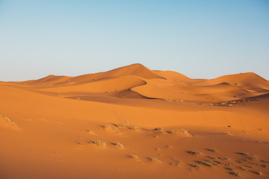 red sandy dune of desert in Morocco