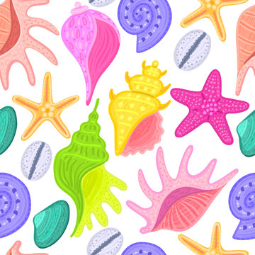 Vector seamless pattern with colorful shells. Ornament with seashells. Wrapping paper, package, wallpaper, clothing and other textile in a pet store or aquapark, print on shower curtain, beach mat