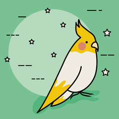 cute little bird adorable mascot