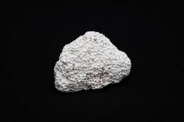 White coral gemstone gem jewel mineral found at maritime areas