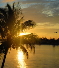 Sunrise at Pelican Bay in Freeport, Bahamas