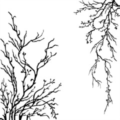 Tree Vector, Nature, black and white