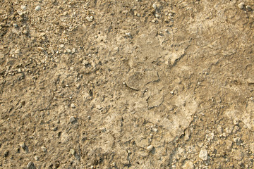 background is a stone texture. Beige old wall