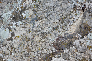Cold stone with large cracks and scratches. Concept Design Background
