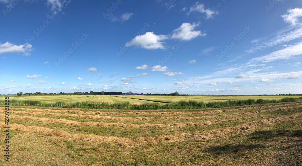 Wall mural farmland around sibrandabuorren in friesland