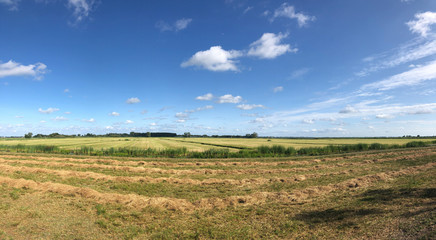 Obraz premium Farmland around Sibrandabuorren in Friesland