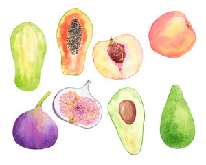 Watercolor hand drawn set with tropical fruits papaya, peach, fig, avocado isolated on white background