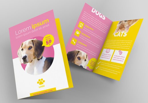 Pet Brochure Layout with Pink and Yellow Accents