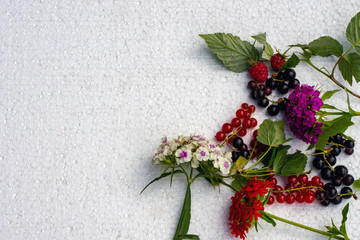 Carnations, black currants, red currants, raspberries on a white background.