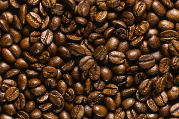 Closeup of coffee beans