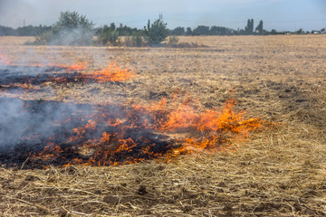 Forest and steppe fires dry completely destroy the fields and steppes during a severe drought. Disaster brings regular damage to nature and economy of region. Lights field with the harvest of wheat