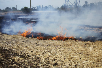 Forest and steppe fires dry completely destroy the fields and steppes during a severe drought. Disaster brings regular damage to nature and economy of region. Lights field with the harvest of wheat