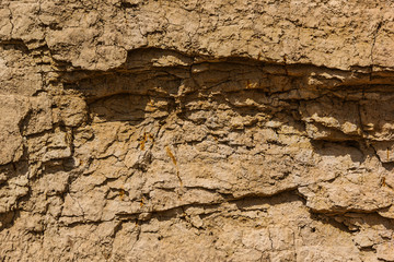 Deep soil slice as drawing, background natural